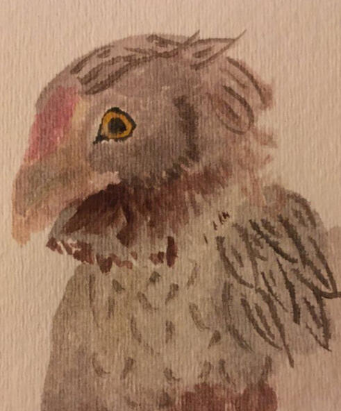 watercolor of joan (chicken)